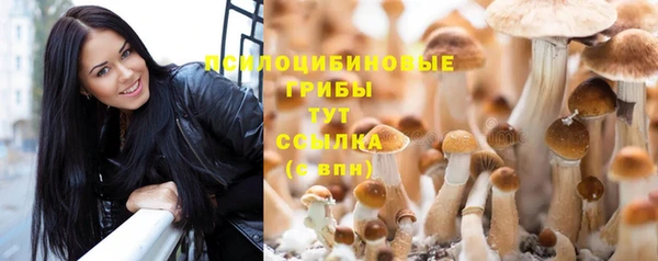 амфетамин Абинск