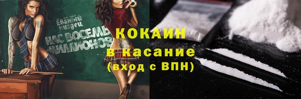 индика Абаза