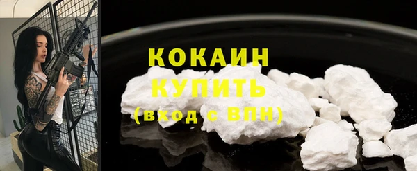 индика Абаза
