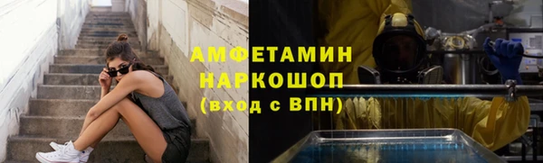индика Абаза