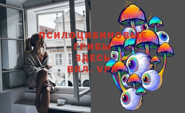 индика Абаза