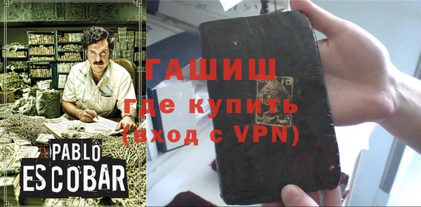 индика Абаза