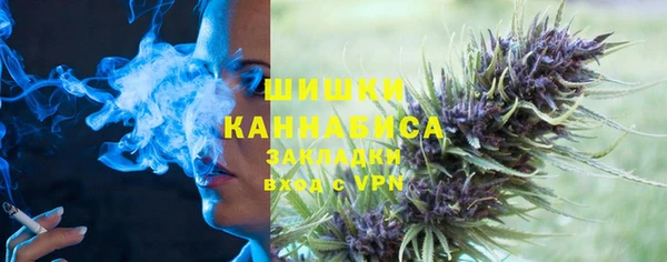 индика Абаза
