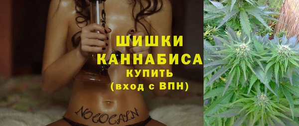 индика Абаза