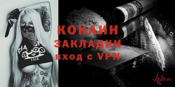 индика Абаза